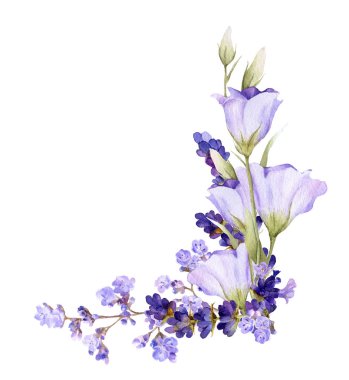 Beyaz bir arka plan üzerinde izole suluboya çizilmiş lavanta ve bluebells el pitoresk düzenleme. 