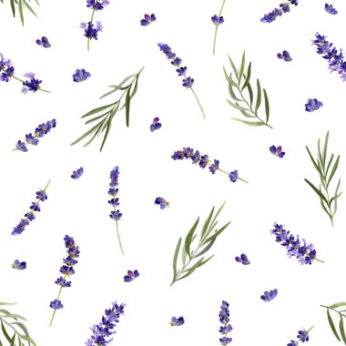 Lavanta çiçekleri ve beyaz bir arka plan üzerinde izole suluboya çizilmiş yapraklı dalları el ile Provence tarzında dikişsiz desen