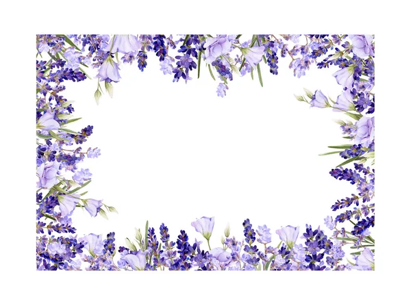 Lavanta pitoresk kare çerçeve, bluebells, otlar el beyaz bir arka plan üzerinde izole suluboya çizilmiş.