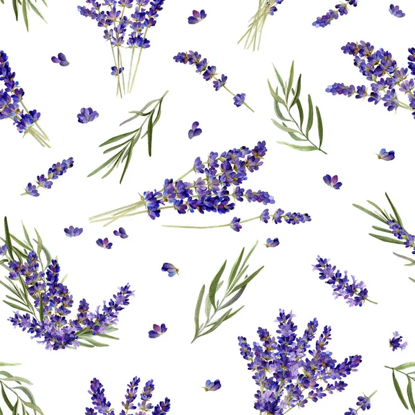 Padrão Sem Costura Estilo Provence Com Flores Lavanda Ramos Folheados — Fotografia de Stock