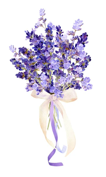 Bouquet Pittoresque Fleurs Lavande Bleu Avec Arc Des Rubans Dessinés — Photo