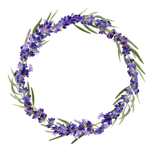 Ghirlanda Acquerello Disegnata Mano Con Rami Lavanda Fiori Limonio Lilla — Foto Stock