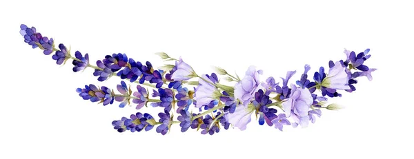 Beyaz bir arka plan üzerinde izole suluboya çizilmiş lavanta ve bluebells el pitoresk düzenleme. 