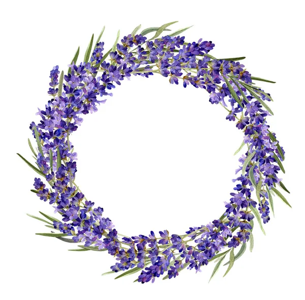 Handritad Akvarell Krans Med Lavendel Grenar Och Lila Limoniumblommor Isolerade — Stockfoto