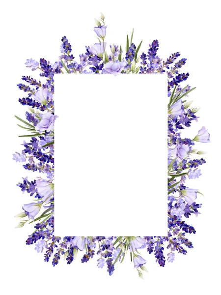 Lavanta pitoresk kare çerçeve, bluebells, otlar el beyaz bir arka plan üzerinde izole suluboya çizilmiş.