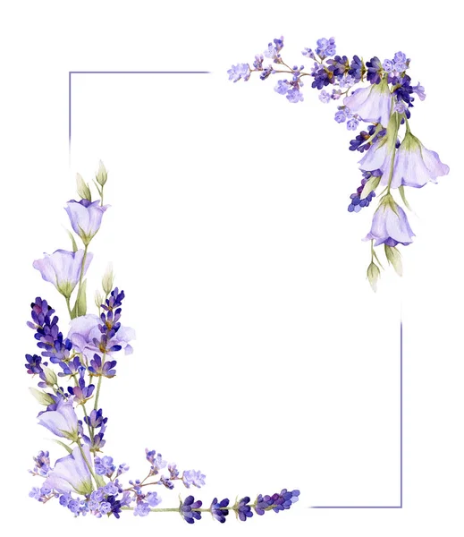 Lavanta pitoresk kare çerçeve, bluebells, otlar el beyaz bir arka plan üzerinde izole suluboya çizilmiş