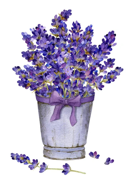 Rik Bukett Lavendel Korgen Med Båge Hand Dras Akvarell Isolerad — Stockfoto