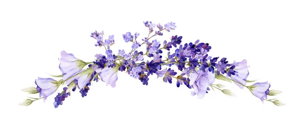 Pittoreska Arrangemang Lavendel Och Blåklockor Hand Dras Akvarell Isolerad Vit — Stockfoto