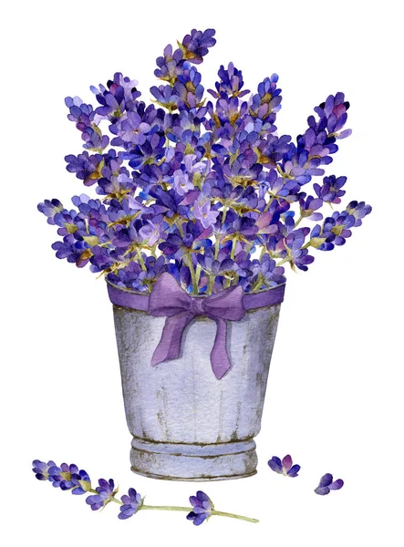 Buquê Rico Lavanda Cesta Com Uma Mão Arco Desenhada Aquarela Imagem De Stock