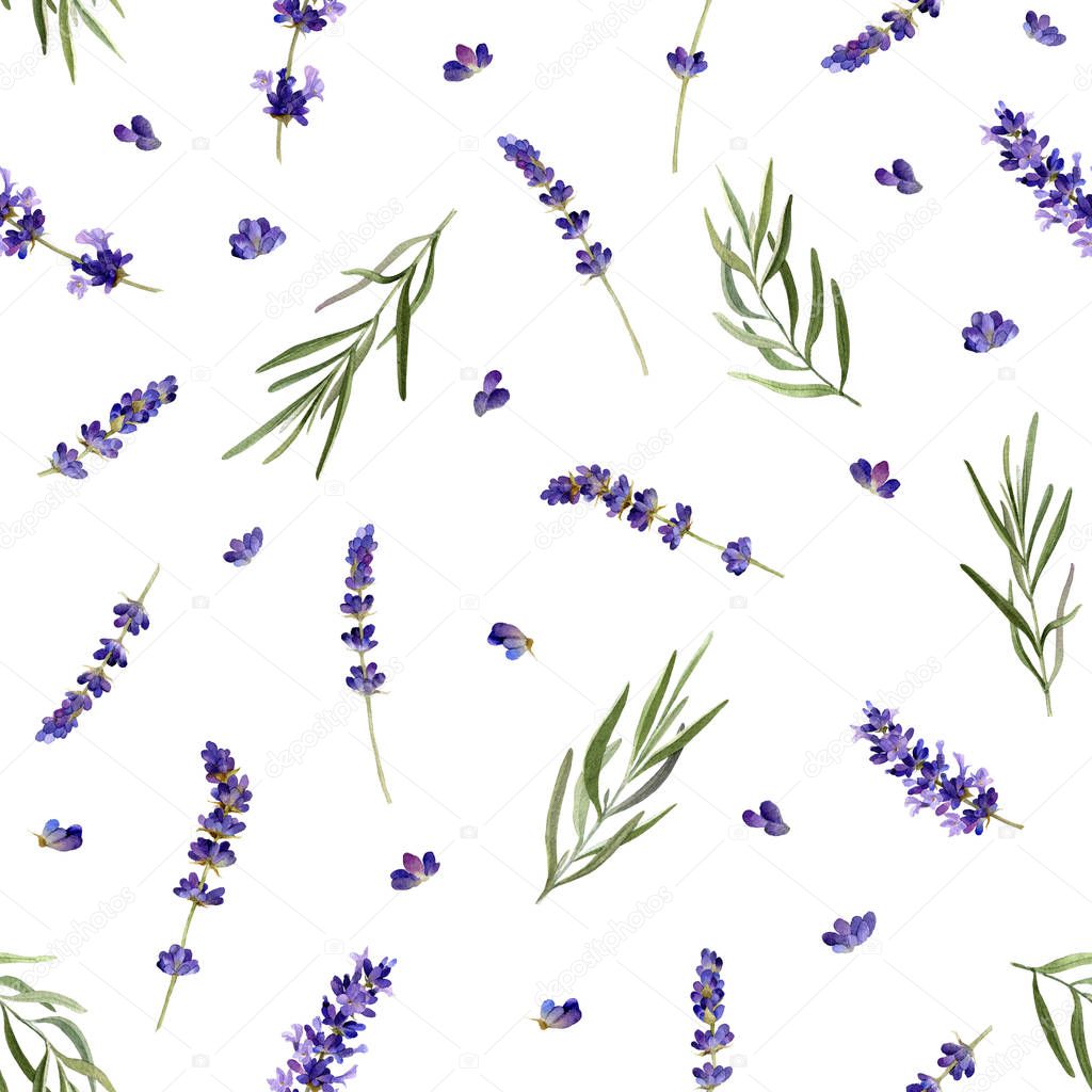 The seamless pattern in a Provence style with lavender flowers and leafed branches hand drawn in watercolor isolated on a white background