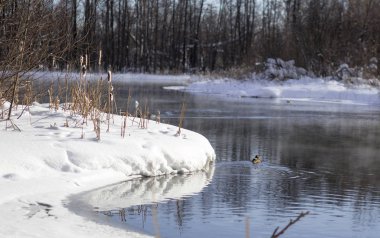 Kışın donma değil mavi göller. Tataristan, Rusya Federasyonu