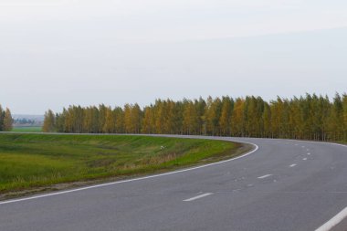 karayolu ile sonbahar ormanın güzel renkler