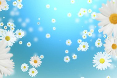 daisies on a blue background. Falling Daisies clipart