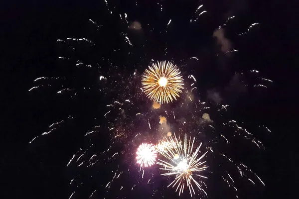 Festive Salute Night Sky Explosions Fireworks — Stock Photo, Image