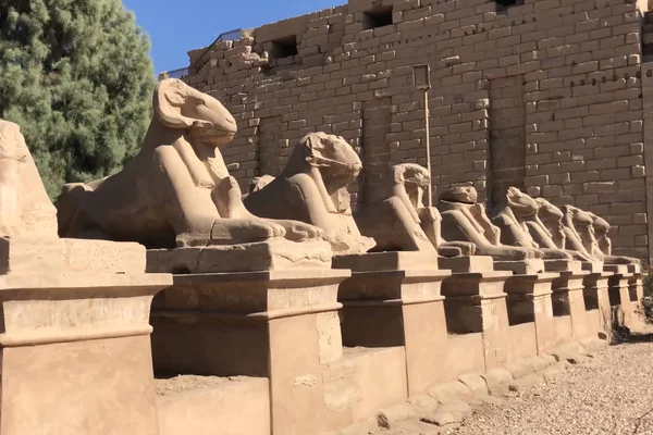 Edifícios Colunas Antigos Megalitos Egípcios Ruínas Antigas Edifícios Egípcios — Fotografia de Stock