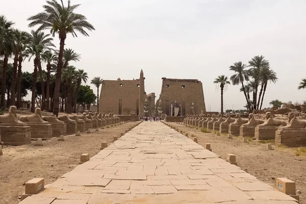 Edificios Columnas Antiguos Megalitos Egipcios Antiguas Ruinas Edificios Egipcios —  Fotos de Stock