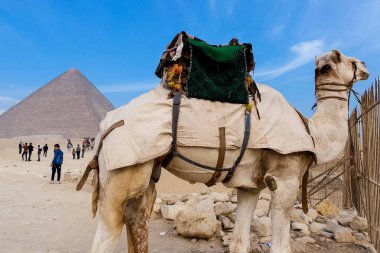 Giza müze kompleksi, Mısır - 27 Ağustos 2017: giza piramitleri. Büyük Piramitler Mısır. Dünyanın yedinci harikası. Antik megaliths