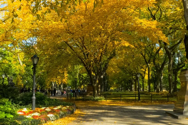 New York États Unis Juin 2015 Promenade Dans Parc Garez — Photo