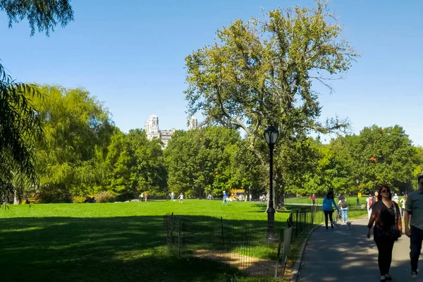 New York Amerikai Egyesült Államok 2015 Június Séta Parkban New — Stock Fotó