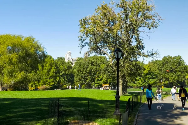 New York Usa June 2015 Walk Park Park New York — Stock Photo, Image