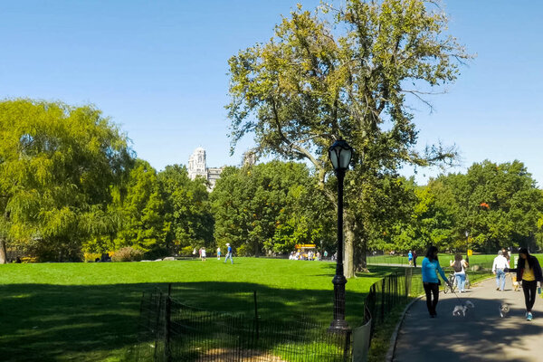 New York, USA - June 20, 2015: Walk in the park. Park in new york. The life of New York in the afternoon. Streets and city buildings.