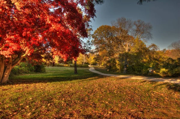 Hartshorne Woods Park Locust, New Jersey yürüme yolu.