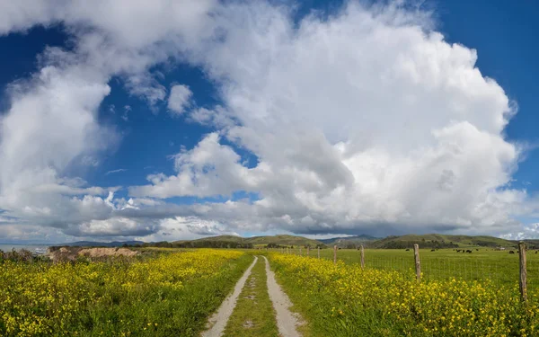 The Cowell-Purisima Coastal Trail runs along coastal bluffs near Half Moon Bay, California.