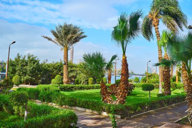 Nile Corniche çıkabilir iş ve diplomatik quarters, lüks otel ve kayan Restoranlar, Kahire, Mısır uzanan güzel gölgeli bahçelerine sahiptir.