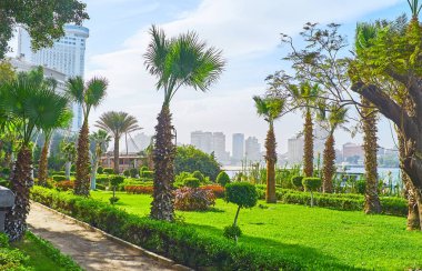 Downtown bölgesinde, Kahire, Mısır Nil nehir setin uzun palmiye ağaçlarının ile rahat yeşil süs Bahçe.