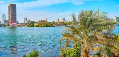 Yemyeşil yeşil palmiye ağaçları ile Nil kıyısında güzel bahçe ve Gezira adada, Cairo, Mısır.