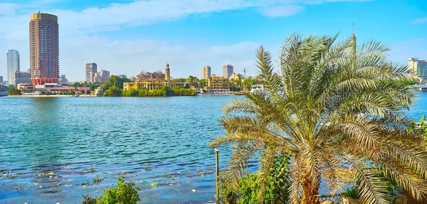 Enjoy Beautiful Garden Bank Nile Lush Green Palm Trees View — Stock Photo, Image