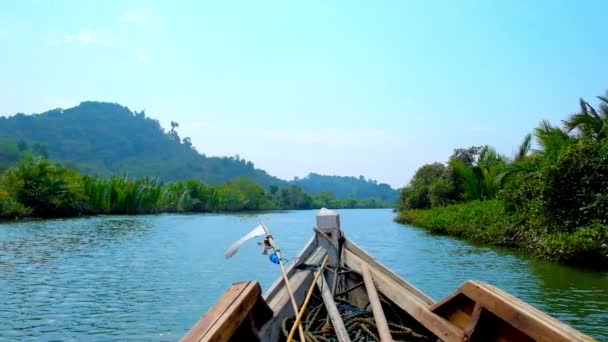 マングローブ林は ベンガル湾の影響を受け その河口の横にある本山義川のほとりミャンマー ガーペー Tha この分野で塩気のある水のレベルをカバーします — ストック動画