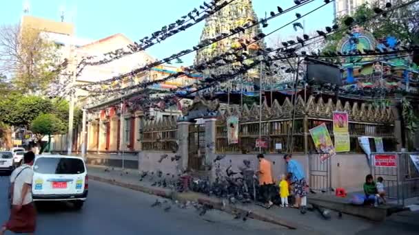 Yangon Mianmar Fevereiro 2018 Pessoas Alimentam Pombos Frente Templo Hindu — Vídeo de Stock