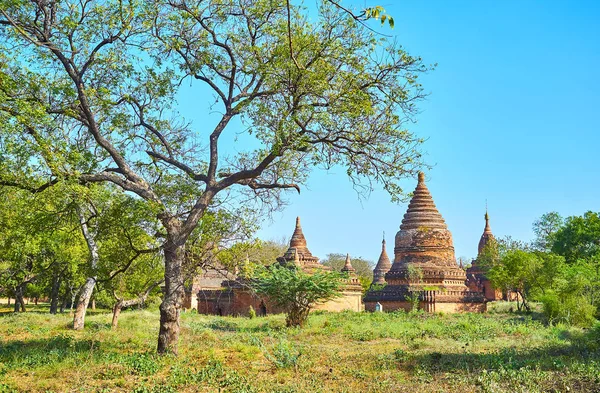 Antika Huvudstaden Bagan Kungariket Representerar Numera Som Många Förstörda Tempel — Stockfoto