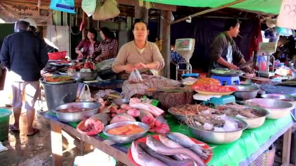 János Mianmar 2018 Február Piaci Bódé Sokféle Halfilé Pecsenyék Hasított — Stock videók