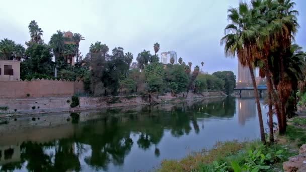 Kvällen Promenad Längs Floden Corniche Nile Med Utsikt Över Natursköna — Stockvideo