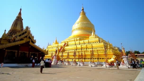 Bagan Myanmar Februari 2018 Enorme Gouden Stoepa Van Shwezigon Tempel — Stockvideo