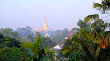 Yemyeşil tropikal bahçe yeşil avuç görünümünden Ortaçağ Shwedagon, Singuttara Hill Yangon, Myanmar üstünde bulunan golden pagoda üzerinde.