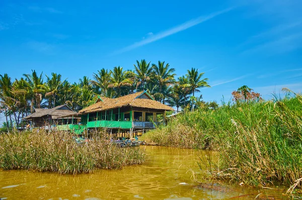 The old wooden stilt house with palm garden on the background is seen through the reed thickets on Inle Lake, Ywama, Myanmar.