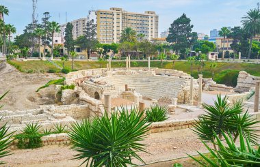 Roma dönemi Antik Amfitiyatro yeşil avuç içi ve yucca çalılar, Kom reklam Dikka sit alanı, İskenderiye, Mısır çevrilidir.