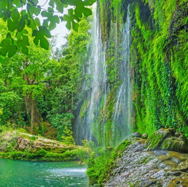 Islak kayalar içinde göl, Kursunlu gür yeşil orman, Aksu, Türkiye tarafından çevrili şelale,.