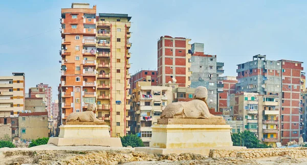 Starobylé Kamenné Sfingy Střeží Pompeius Sloup Postavený Archeologické Lokalitě Amoud — Stock fotografie