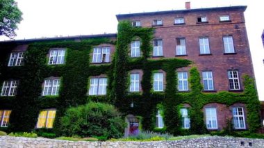 Rüzgar, Krakow, Polonya sallanan üzüm ile büyümüş tuğla Sergi Merkezi Wawel Kalesi, dış.