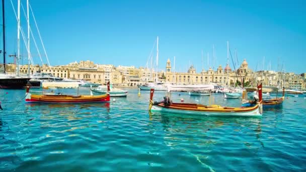 Senglea Malta June 2018 Traditional Malteze Dghajsa Water Taxies Bobbing — Stock Video