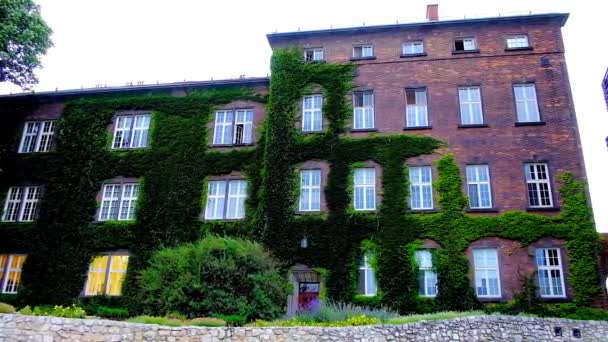 Außenseite Des Gemauerten Ausstellungszentrums Der Burg Wawel Bewachsen Mit Weintrauben — Stockvideo