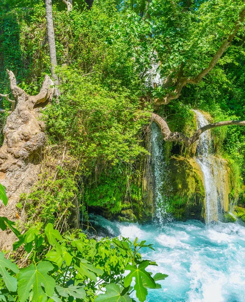 Kilátás Kis Patak Felső Duden Vízesés Buja Növényzet Körül Antalya — Stock Fotó