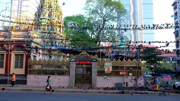 Yangon Mianmar 2018 Február Nyáj Galambok Falakon Tetőn Elektromos Vezetékek — Stock videók