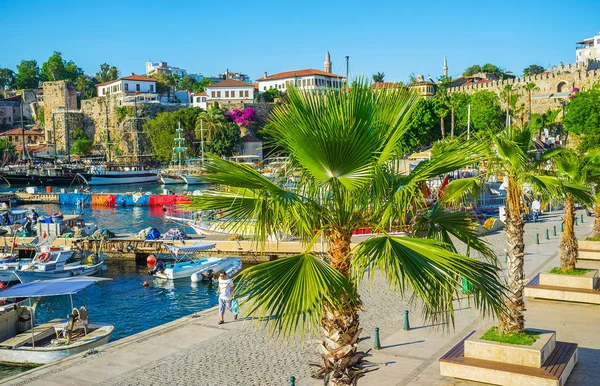 安塔利亚 土耳其 2017年5月11日 在风景秀丽的码头上的绿色棕榈树的看法与渔船 旅游船 中世纪城墙和奥斯曼别墅在它附近 在5月11日在安塔利亚 — 图库照片