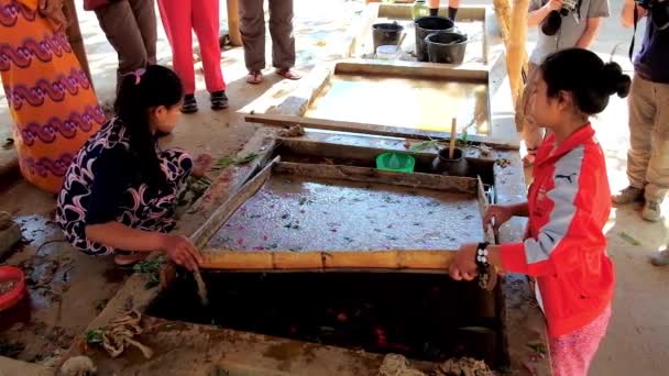 ピンダヤ ミャンマー 2018 労働者生成シャン和紙 生のフレームを引くと生地を紙葉し 日ピンダヤの水タンクから花 — ストック動画