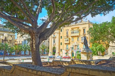 Yemyeşil park, Floriana, Malta Robert Samut meydanında yer alan gölgesinde rahatlayın.